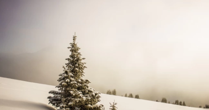 Снегът в района на Рожен е 15 см информират от