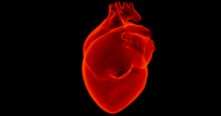 Съществуват твърдения че хората със сърдечни заболявания имат по малки възможности