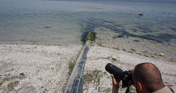Автор Спас Спасов Дневник снимка БулфотоМорската вода във Варненското езеро и