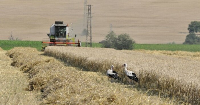 Снимка БулфотоБезработните които сключат трудов договор за сезонна селскостопанска работа