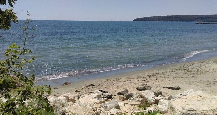 Снимка Петел Днес слънцето ще е повече до обяд по късно отново