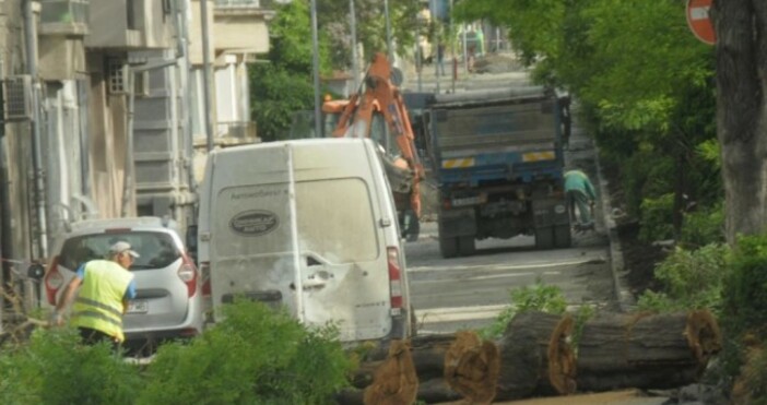 снимка Булфото архивДърво е паднало рано тази сутрин върху лек