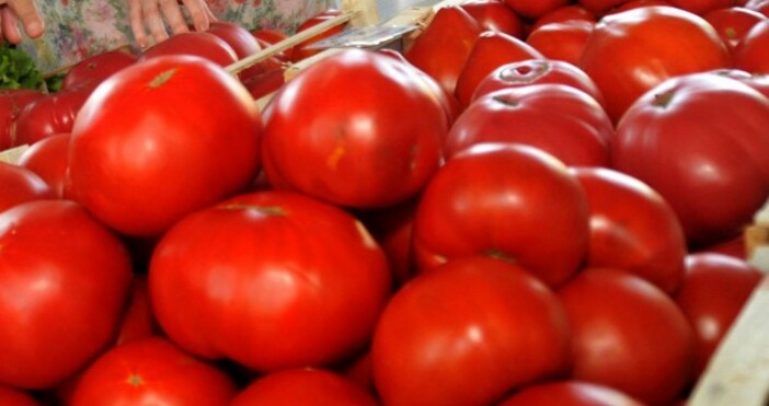 Снимка БулфотоЦената на доматите у нас е най висока за последните десет години
