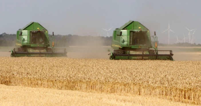 снимка Булфото архивЗапочна жътвата на пшеницата в Лудогорието съобщиха от
