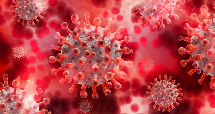 Снимка pixabay158 души са потвърдените нови случаи на заразени с