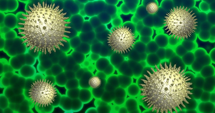 Снимка pixabay165 са положителните проби за коронавирус от последното денонощие Направените