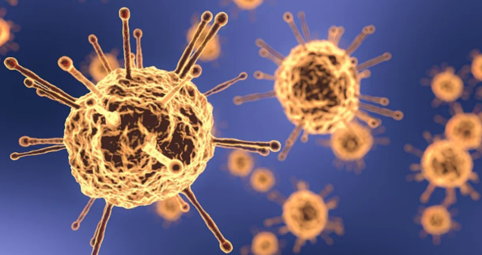 Снимка: pixabayНови 161 случая на коронавирус бяха установени у нас