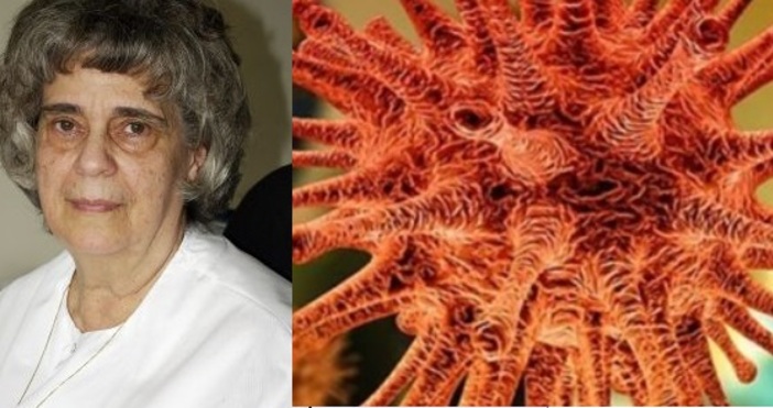 Кадър Пирогов Аутопсии на починали с коронавирус в световен мащаб не