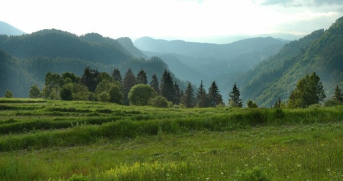 Снимка Булфото архивПреди обяд днес ще бъде слънчево След обяд