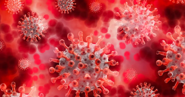 снимка pixabayБроят на потвърдените случаи на новия коронавирус в света е