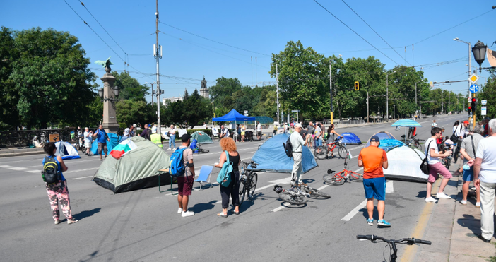Снимка Булфото58 от българите са на мнение че протестиращите няма