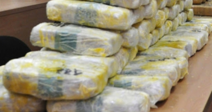Снимка Булфото архив70 5 кг кокаин в контейнер с банани откриха