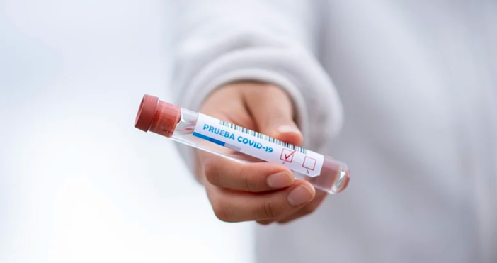 снимка pixabay204 нови случая на коронавирус са регистрирани у нас през