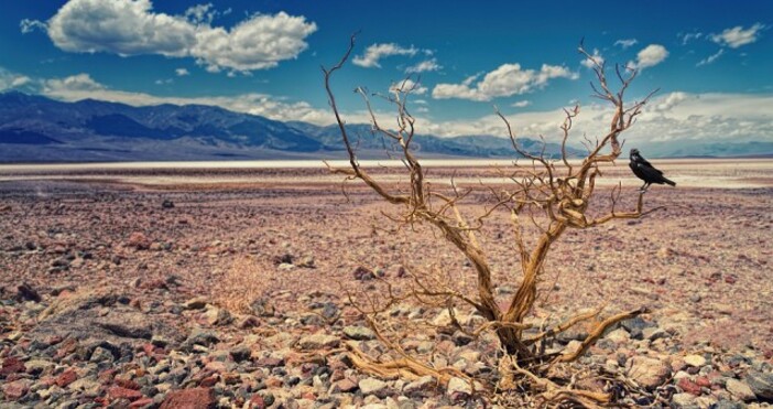 фото   Pixabay comprofit bgВ националния парк Долината на смъртта в Калифорния САЩ беше