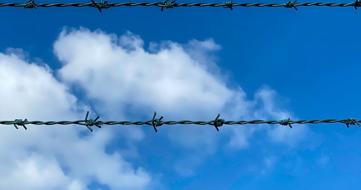 Снимка PexelsСърбия започна да поставя телена ограда на границата си