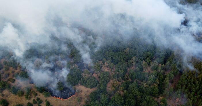 Снимка: БулфотоПламъците са обхванаха смесена гора между 3 села. Огънят