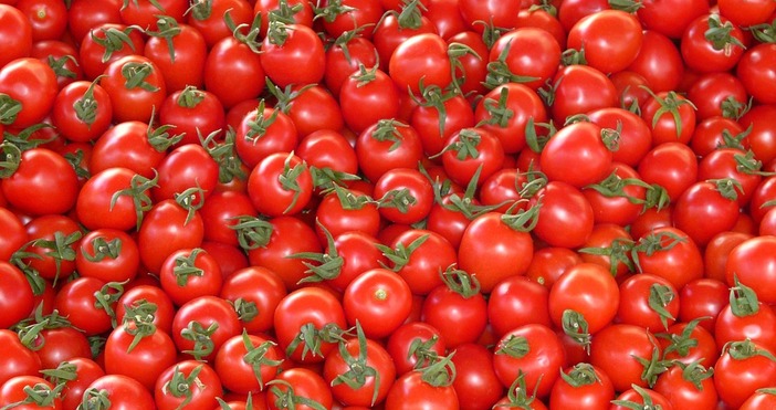 снимка PixabayС около 33% са по-скъпи тази година доматите, отглеждани