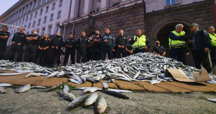Снимки Булфото видео Вън мутрите от властта фейсбукПротестиращите в София