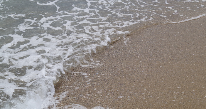 Снимка Петел Истинска драма се разигра преди минути на Северния плаж