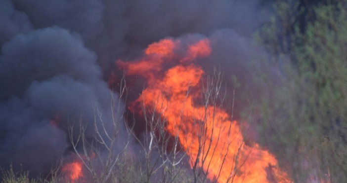 снимка БулфотоКамион, превозващ слама се е запалил в движение около