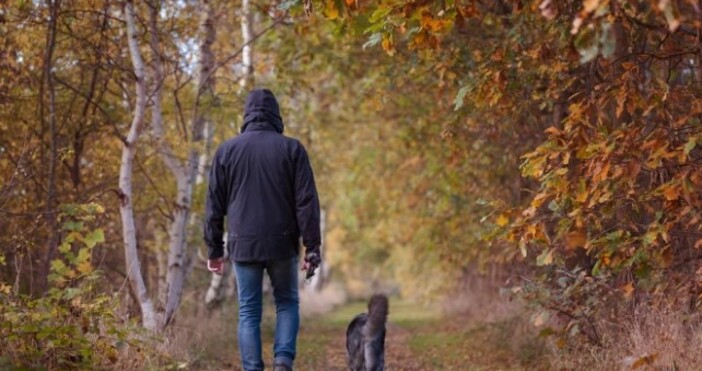 pixabayПрез нощта над по голямата част от страната ще бъде ясно