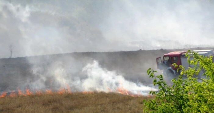 снимка Булфото архивПожарът край бургаското село Граничар е овладян В