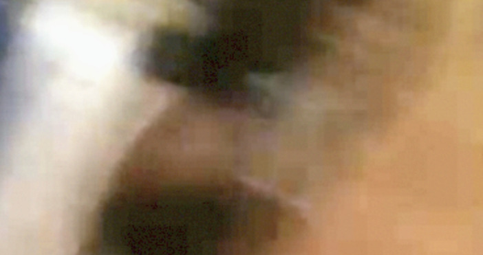 Биволъ синтезира това изображение от клипа в резиденцията на Премиера