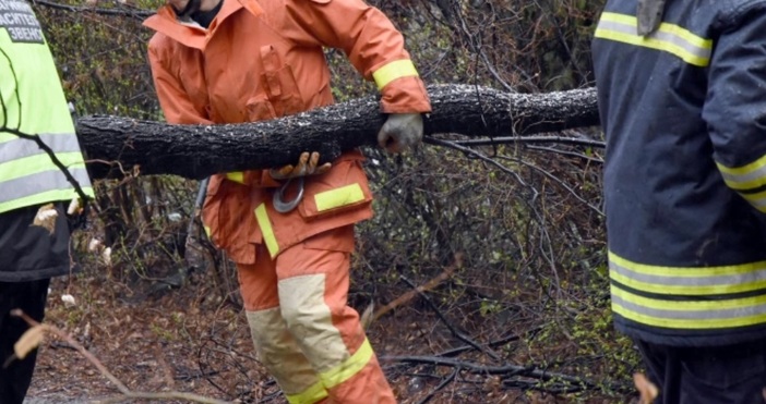 Снимка Булфото архивРаботник от пътноподдържаща фирма е пострадал при отстраняване
