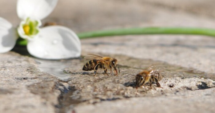 снимка Булфото архивВ 13 31 часа е съобщено че в землището
