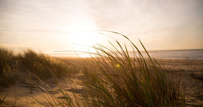 Снимка PexelsМаксималните температури ще бъдат между 14° и 19°  Ще бъде