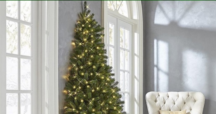 Изображение Twitter Коледно дръвче срязано наполовина ще пуснат в продажба търговци