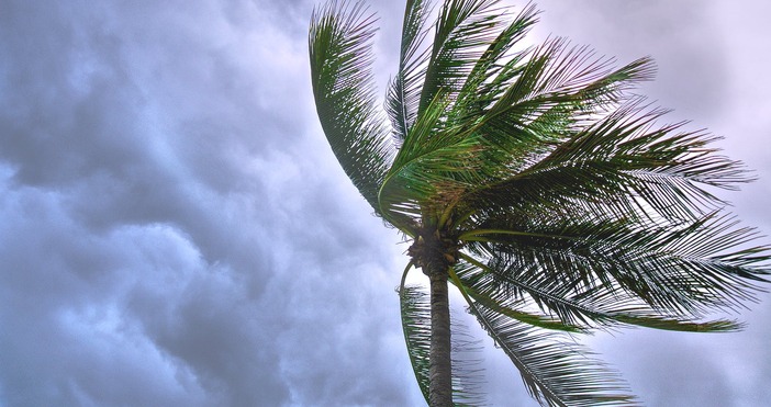 Снимка PexelsСмъртта на най-малко трима души е причинил Ураганът Делта, който