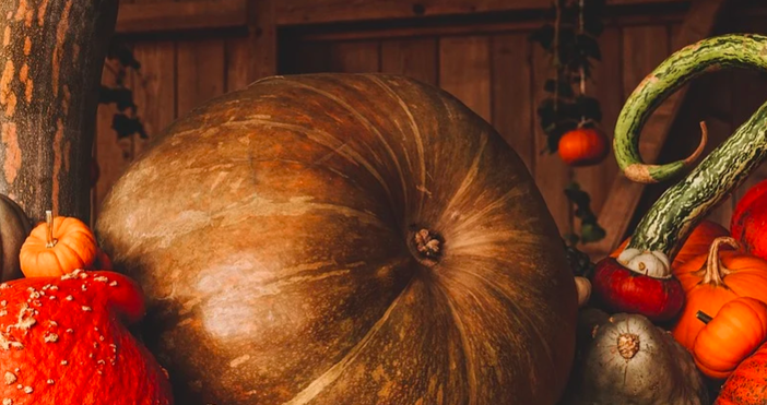 снимка pixabayПразникът Вси светии е отменен в някои райони в Англия