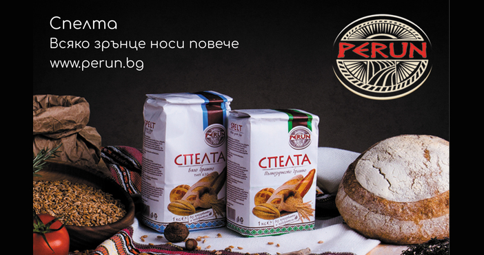 Какво е спелта е позната на човека от най дълбока древност и