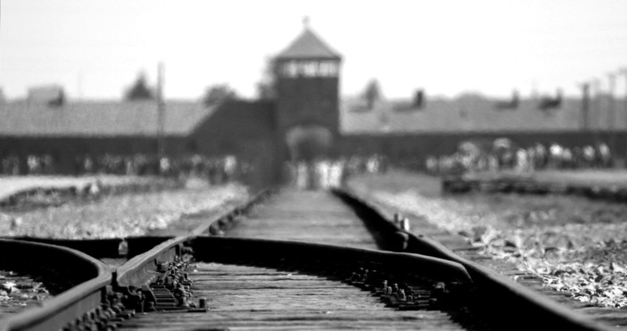 снимка pexels82 години от Холокоста се отбелязват днес В нощта на