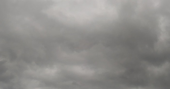 Снимка ПетелМрачно облачно и мъгливо се очертава да бъде времето