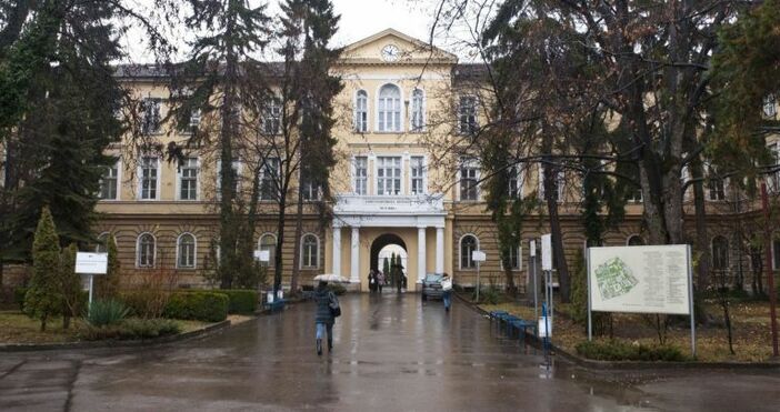 Снимка Булфото архивНачалникът на клиниката по нефрология и трансплантации в