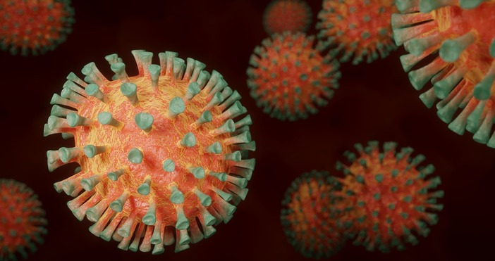 снимка pixabayСредно около 7000 българи се разболяват от коронавирус Това значи