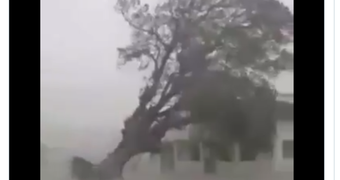 кадър ТуитърСевероизточното крайбрежие на Никарагуа беше поразено Ураганът Йота вече го