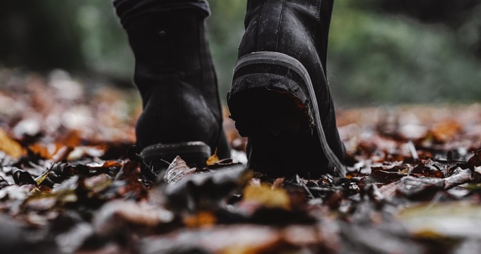 Въпреки първия сняг на Петрохан утре ще бъде предимно слънчево