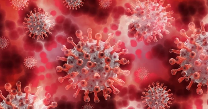 Снимка ПиксабейОт СЗО обявиха голяма цел която си поставят за коронавируса