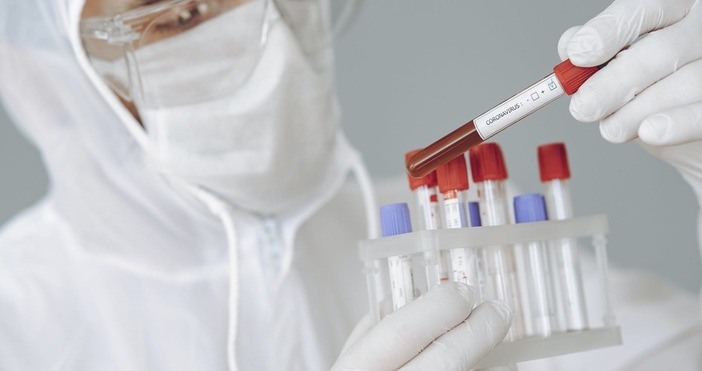 Снимка PexelsОт СЗО съобщиха поредна новина за ваксините срещу коронавирус Тя