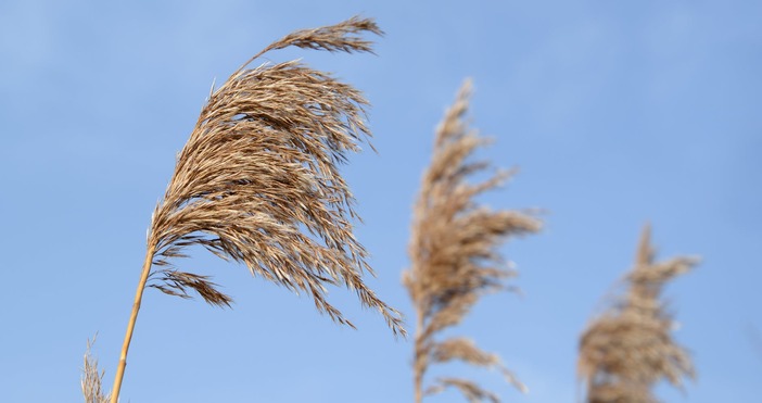 Снимка PexelsВремето във Варна ще се влоши днес Очаква се