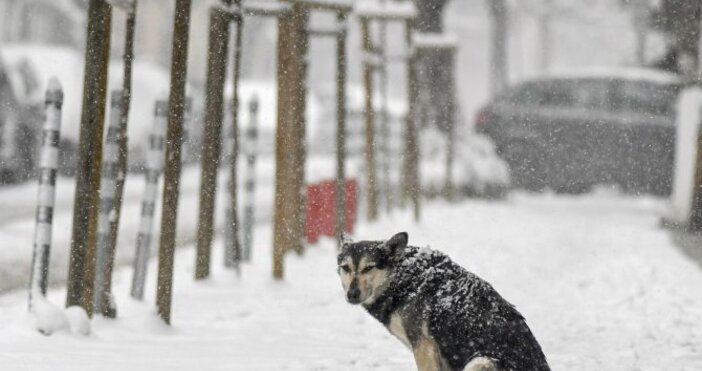 Снимка Булфото архив20 сантиметра сняг покри села у нас Най засегнати