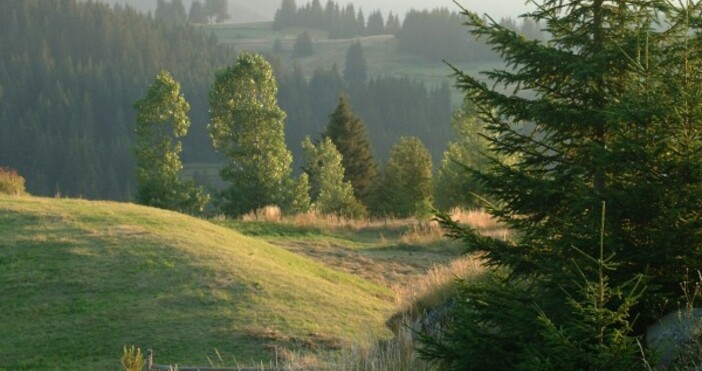 снимка БулфотоДнес времето ще е пролетно  Облачността от запад се разкъсва