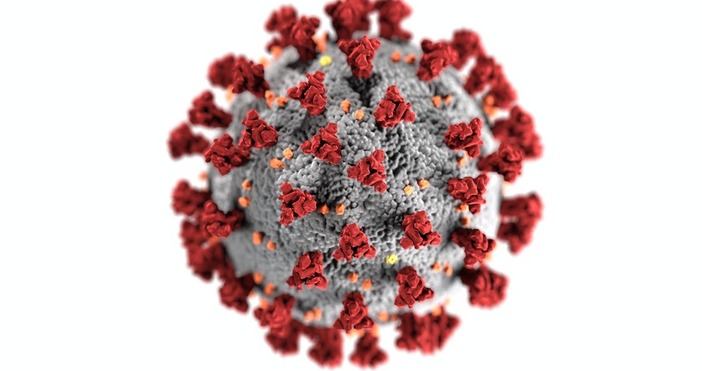 Снимка PexelsСпециалисти смятат че мутиралата форма на вируса вече е