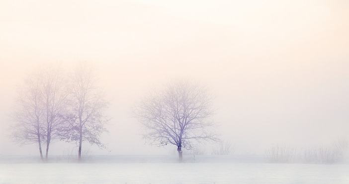 снимка pixabayЯпония е в снежна хватка с жертви Най малко двама души