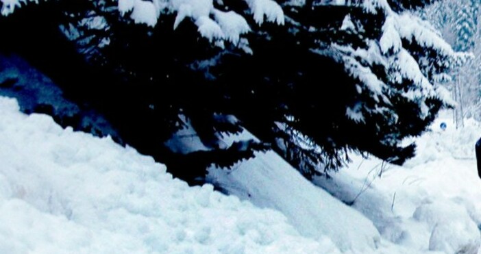 снимка БулфотоЗа опасност от лавини пведупреждават метеоролозите  Снегът в планините е