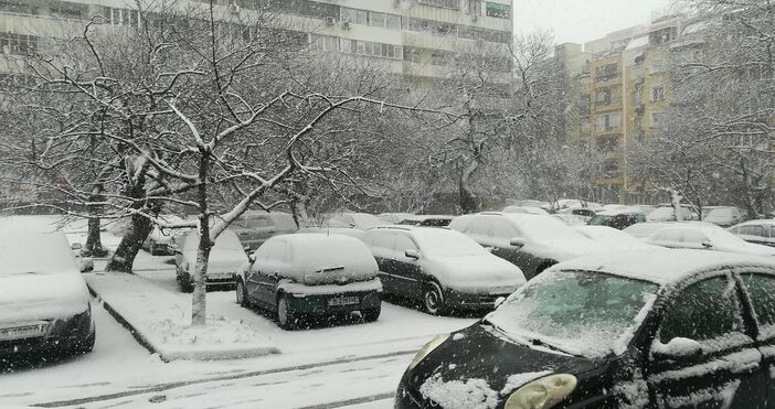 Снимка ПетелПочти 150 снегорина се включиха в почистването на софийските