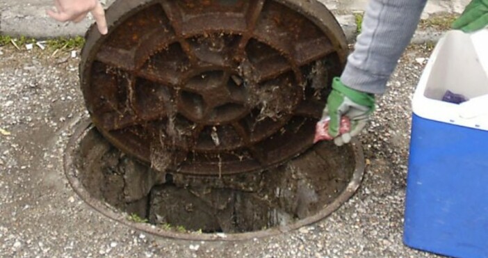 Снимка Булфото архив Русенската канализация се задръсти от боклуци в дъждовното